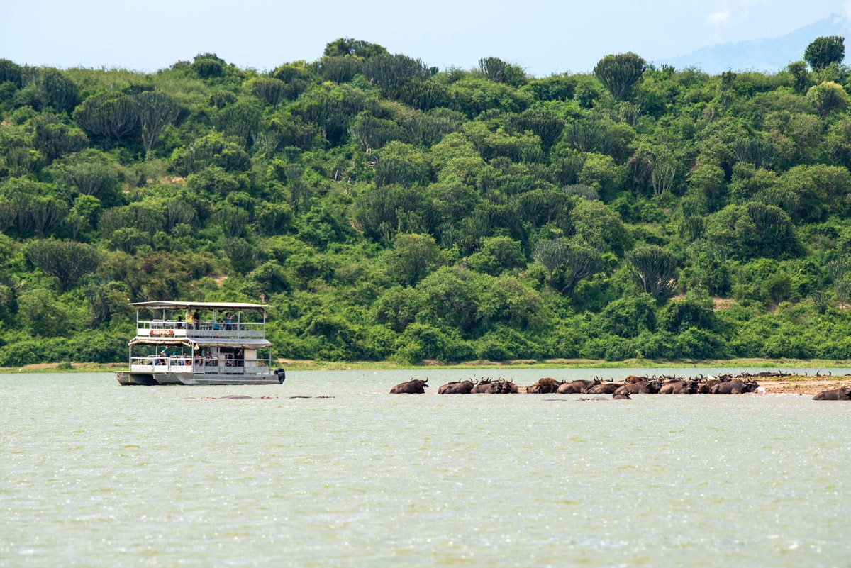 Kyambura Gorge Lodge – Bild 5