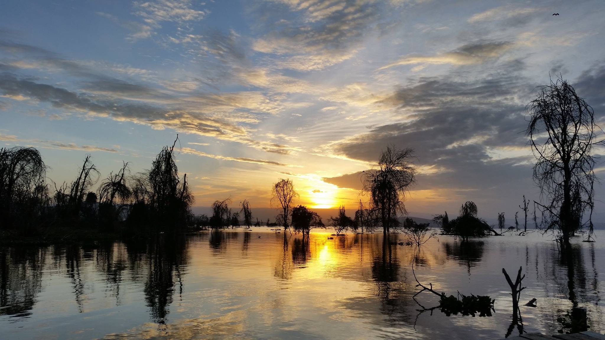 Lake Naivasha Simba Lodge – Bild 6