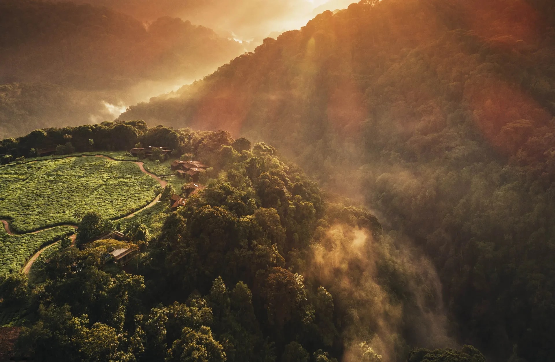 One&Only Nyungwe House – Bild 5