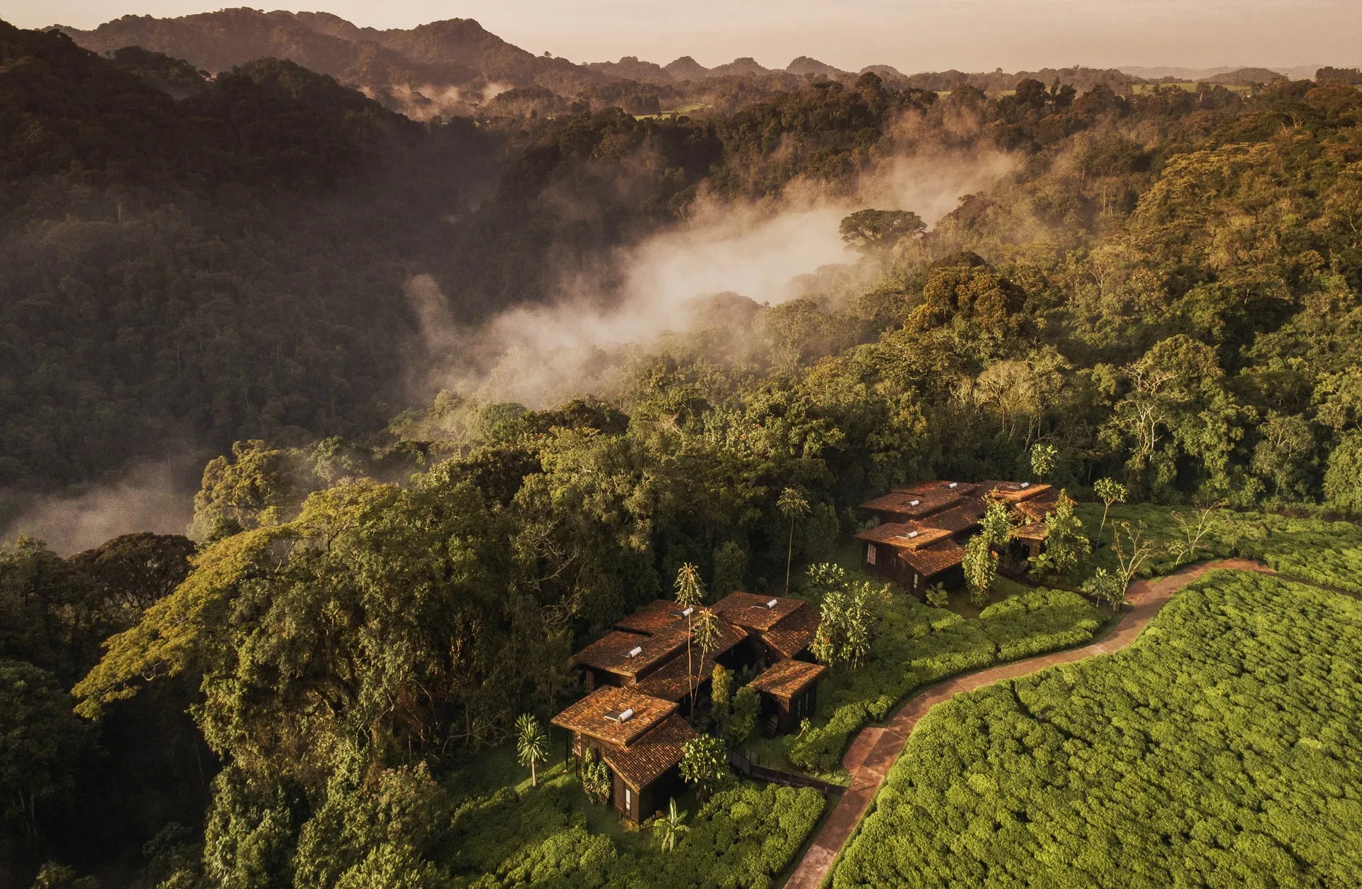 One&Only Nyungwe House – Bild 4