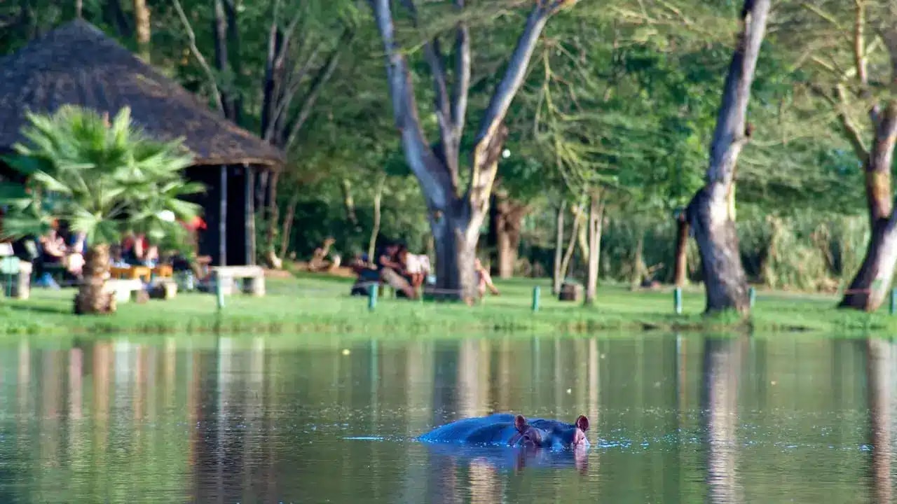 Voyager Ziwani Tented Camp – Bild 4