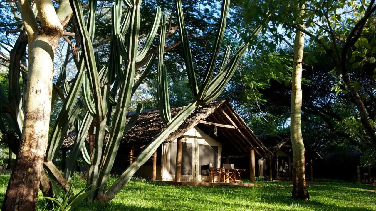 Voyager Ziwani Tented Camp
