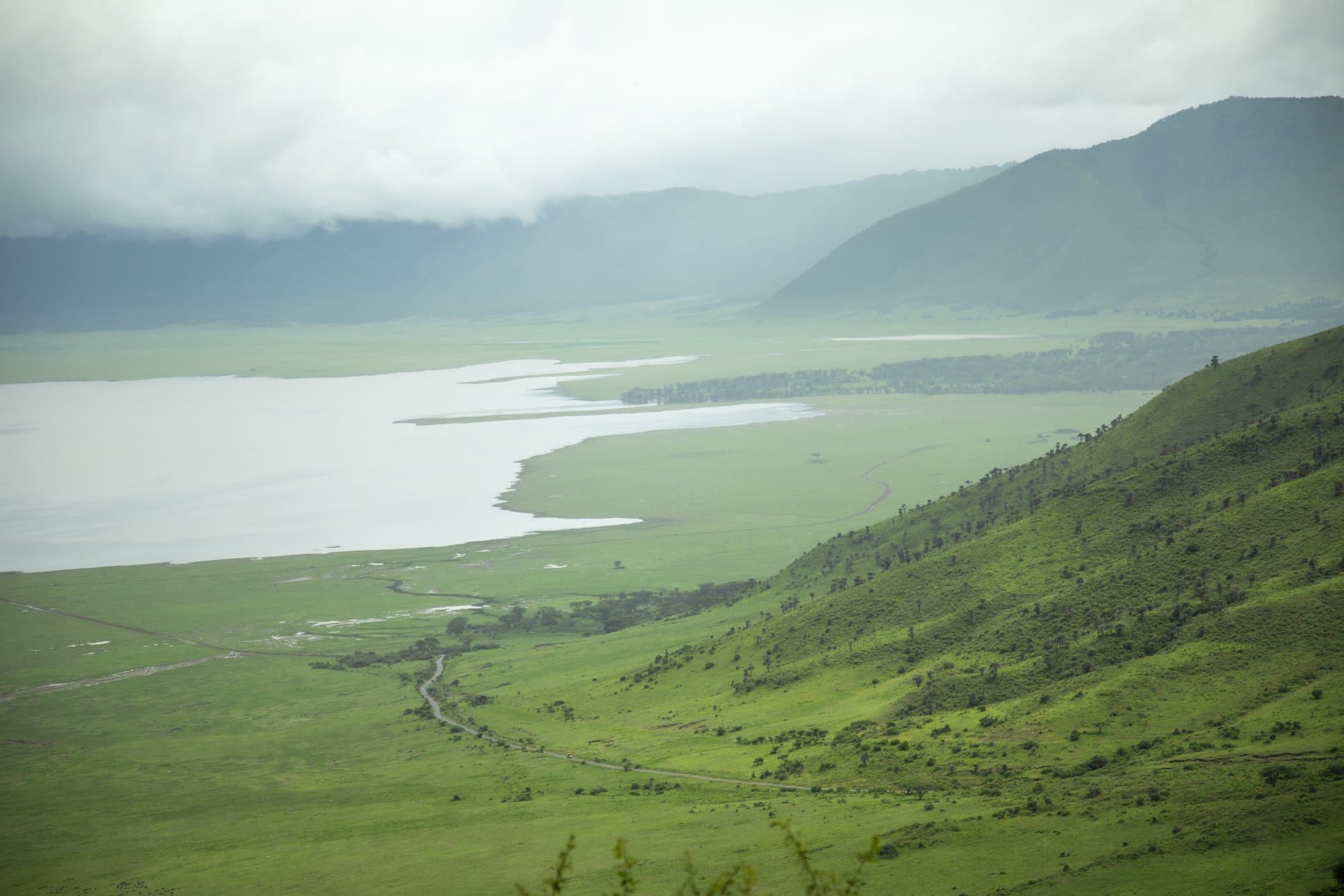 Blick vom Kraterrand auf den grünen Boden des Ngorongoro-Kraters mit dem Kratersee