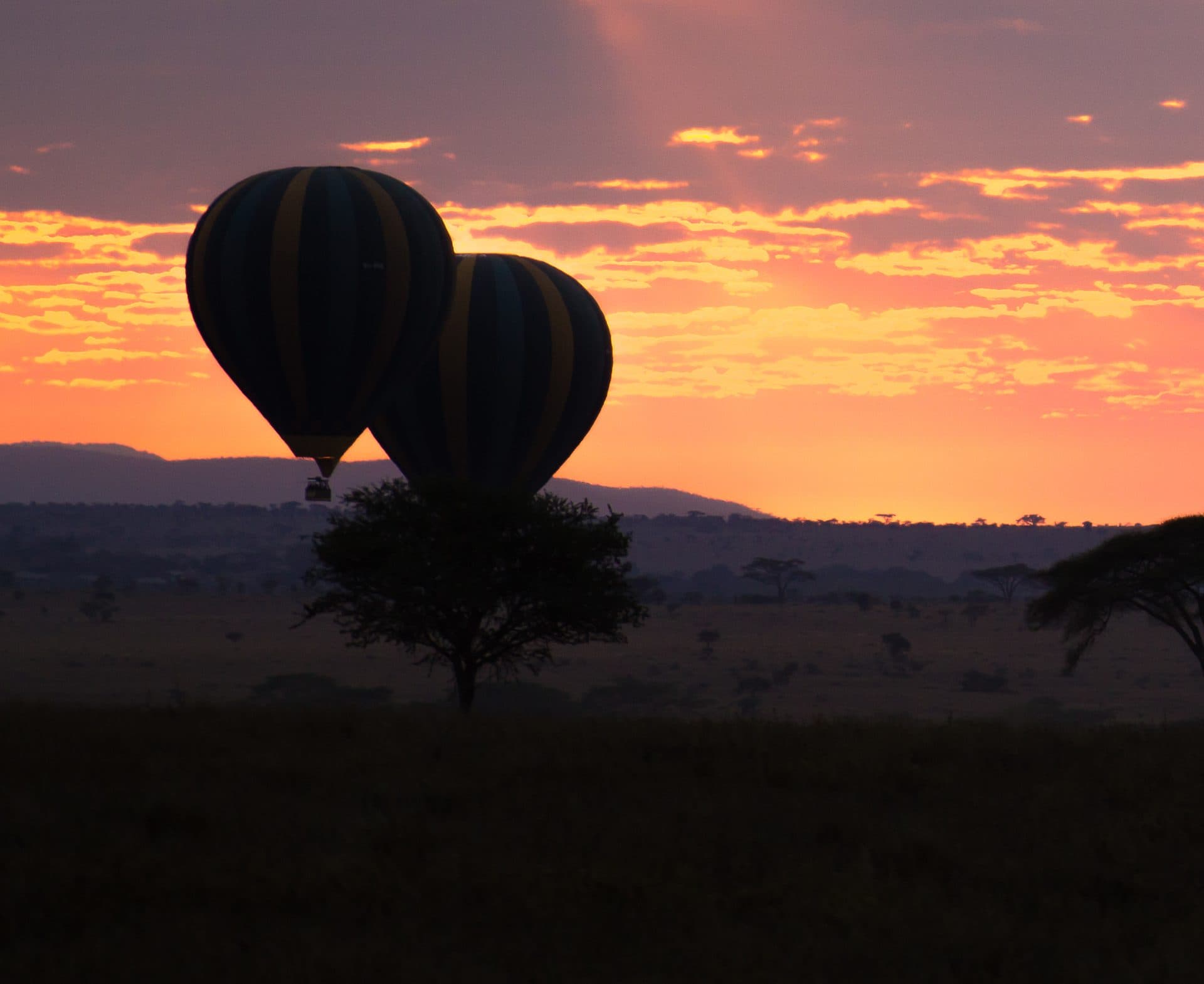 Heißluftballonfahrt über der Serengeti bei Sonnenaufgang