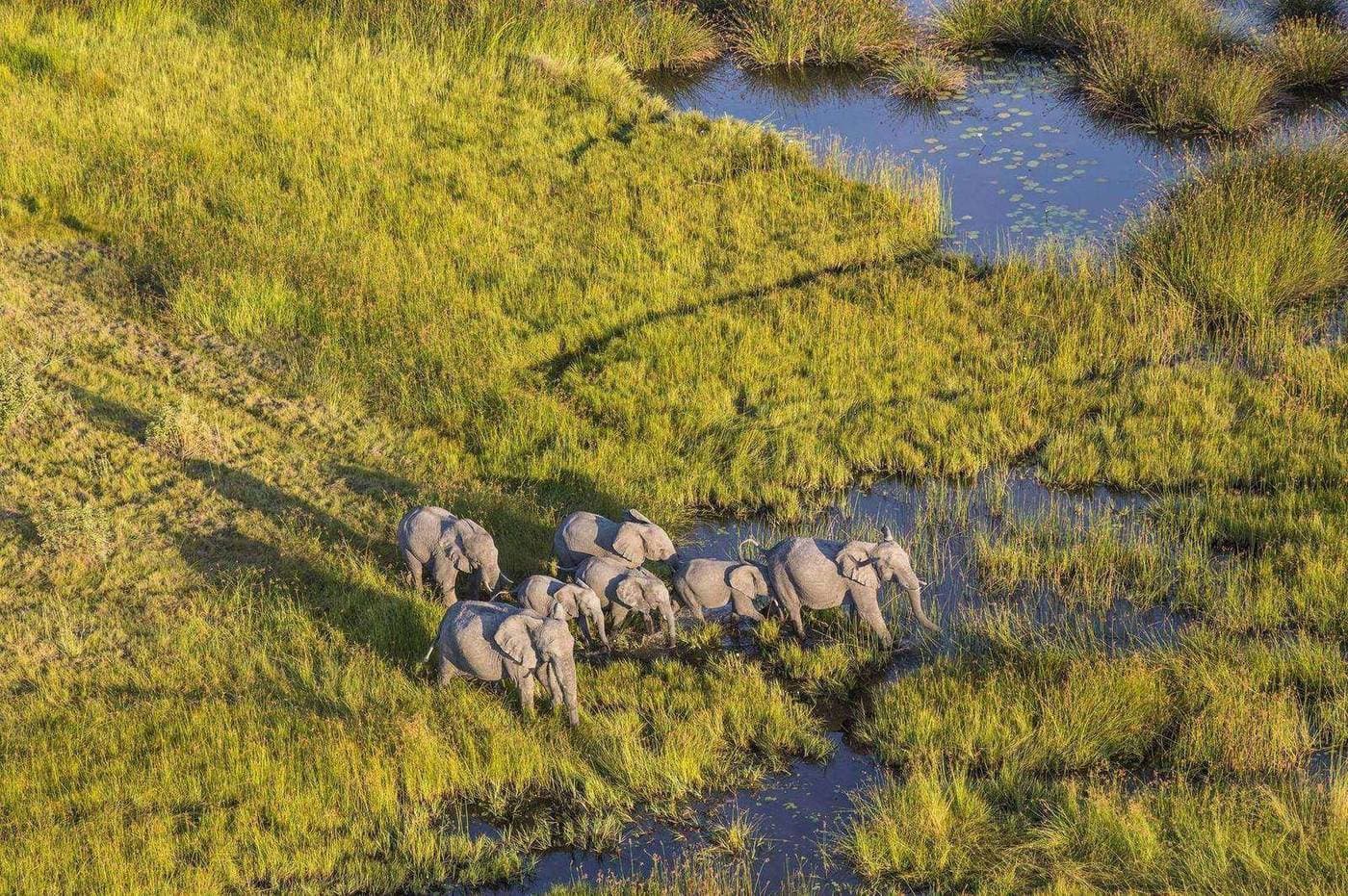 14 Tage Botswana & Namibia: Okavango, Chobe, Etosha und Damaraland