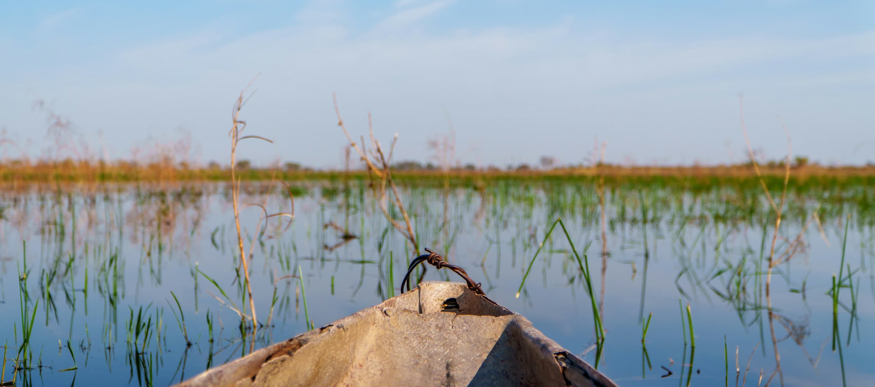 8 Tage Okavango-Delta-Safari in Botswana