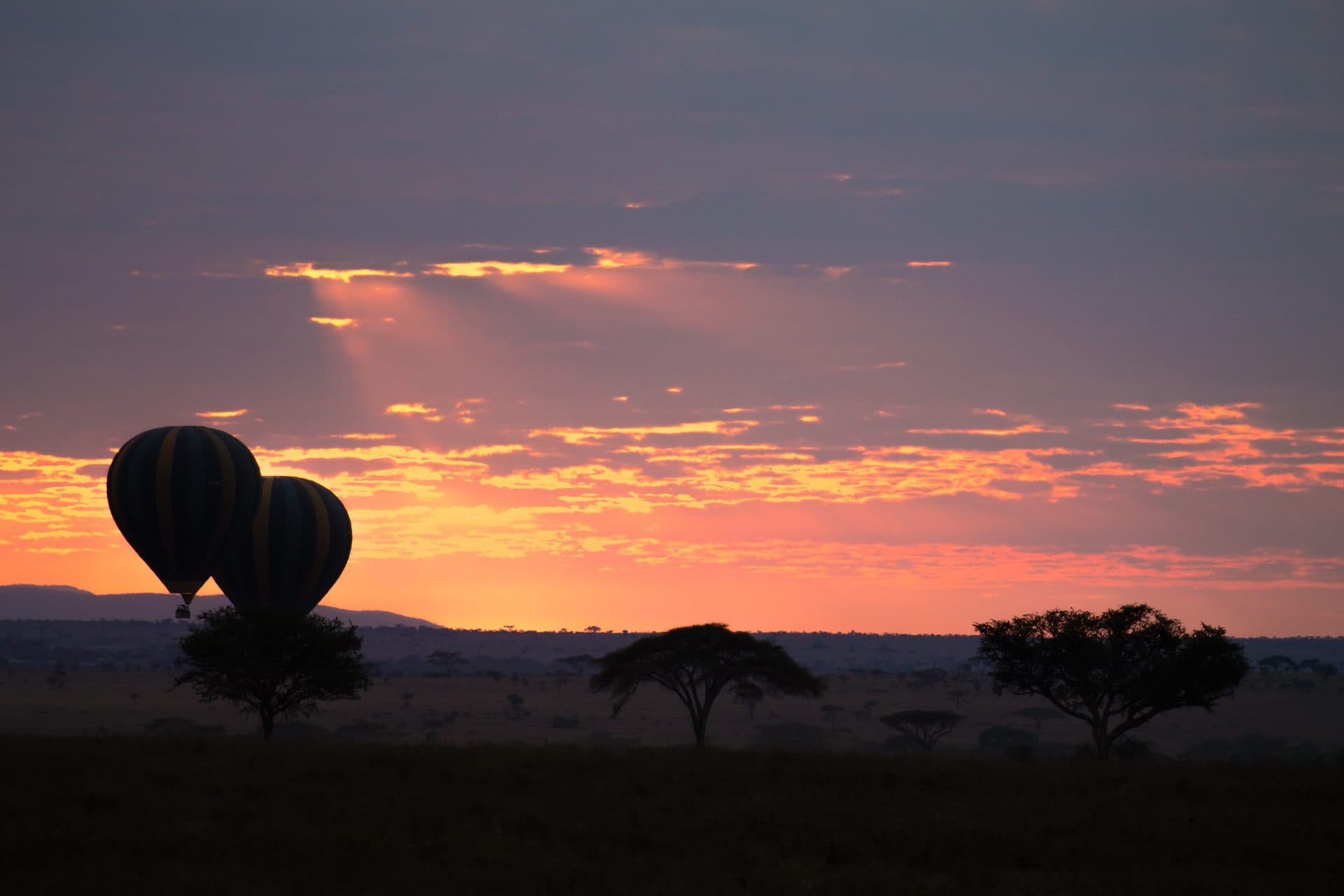 Heißluftballons bei Sonnenaufgang über der Serengeti – Tansania Reisemagazin