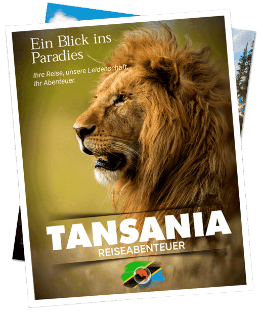Tansania Reisemagazin – Ein Blick ins Paradies