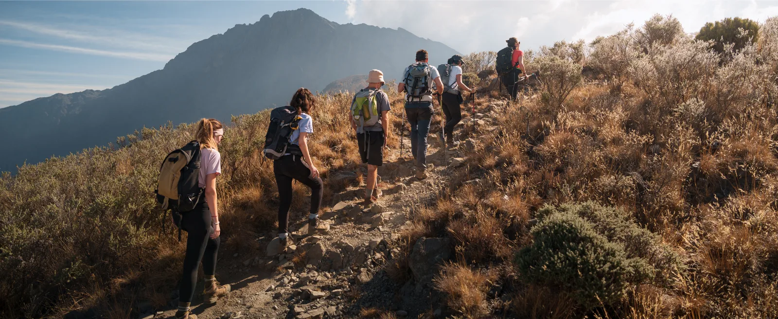 Trekkinggruppe beim Aufstieg durch die Heidelandschaft am Kilimandscharo
