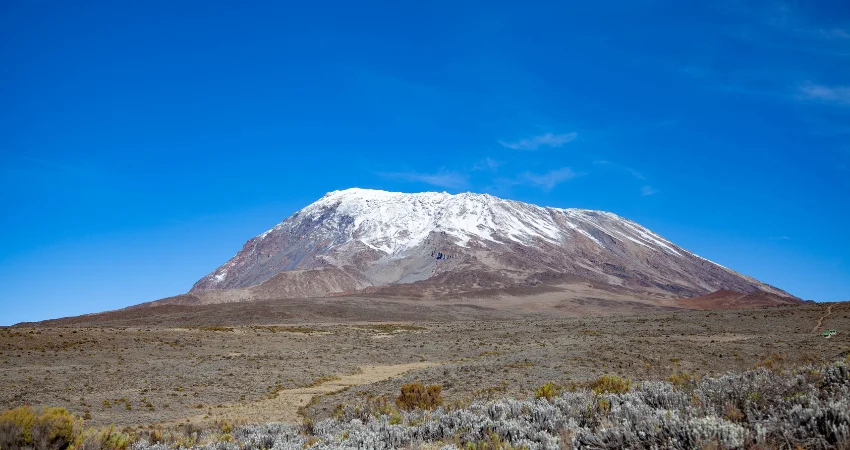Shira Camp 2 → Lava Tower → Barranco Camp