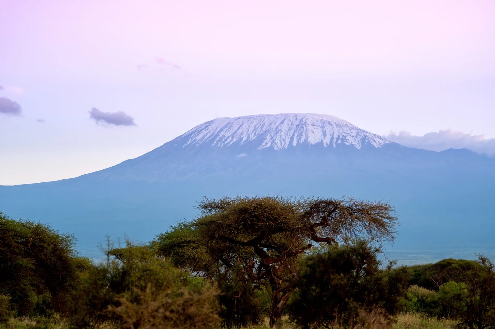 Barafu → Uhuru Peak (5.895m) → Mweka Camp