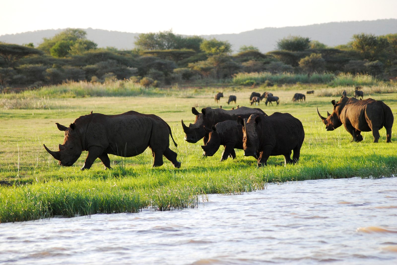 Abschied von Südafrika