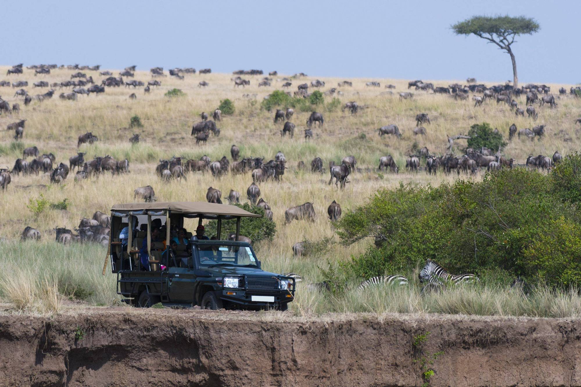 Kenia – 11 Tage Premium Safari mit Massai Mara & Diani Beach