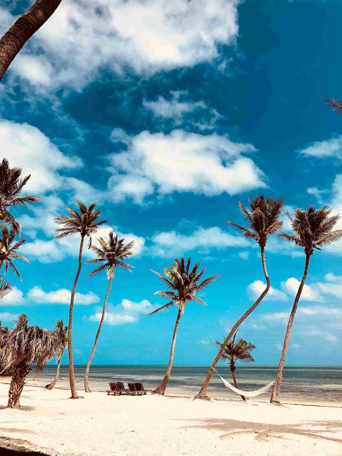 Diani Beach – weißer Sand am Indischen Ozean in Kenia