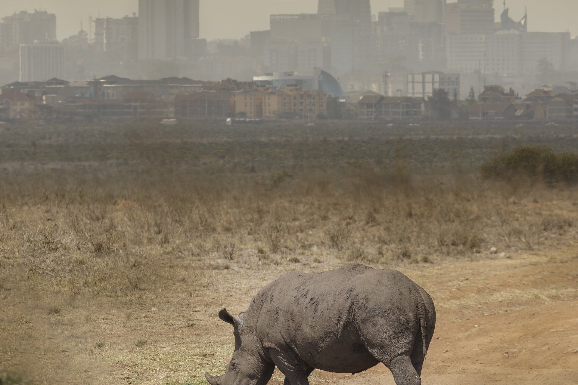 NAIROBI ANKUNFT