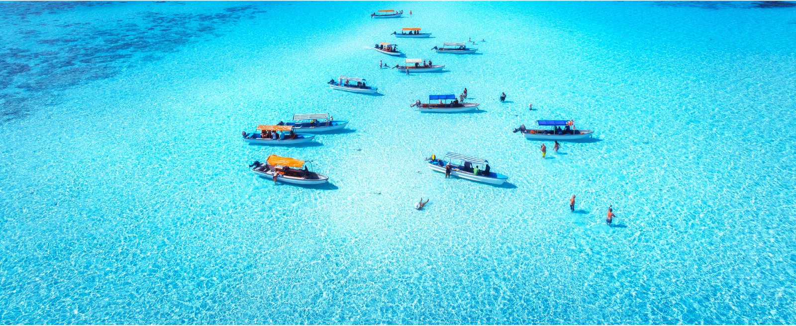 Blaue Safari