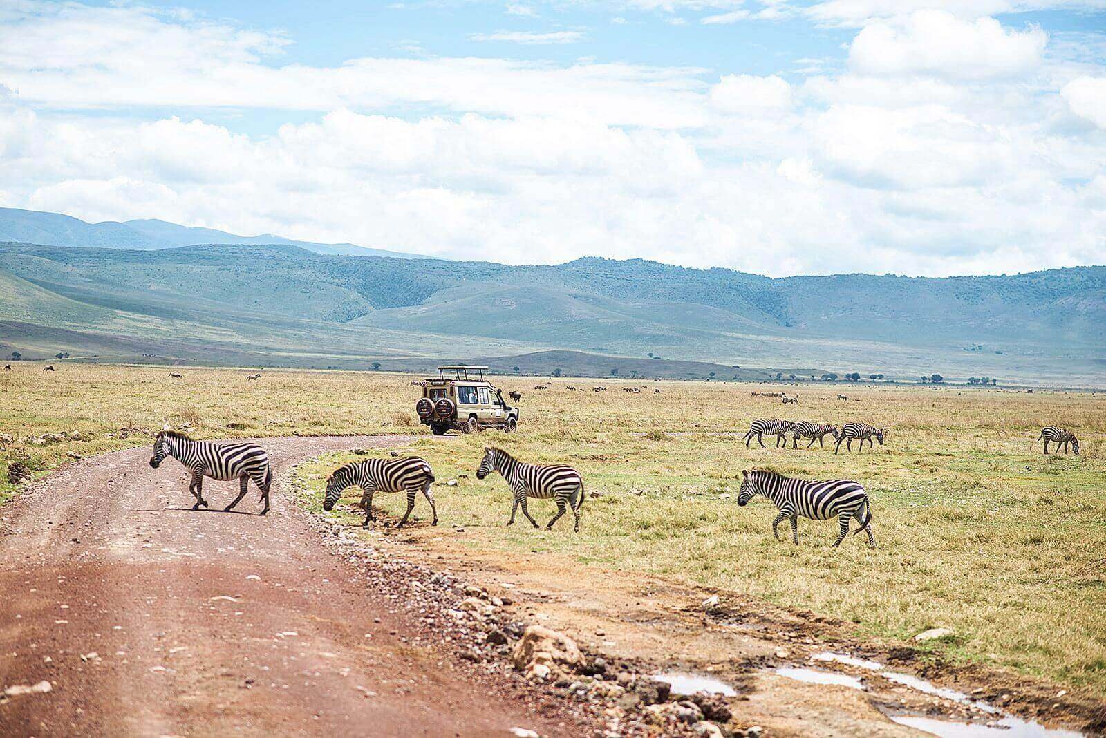 Ngorongoro-Krater Safari