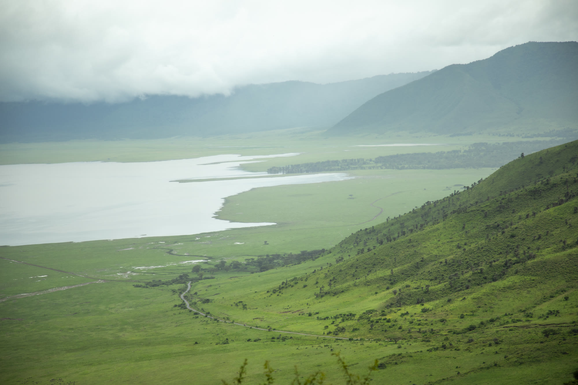 Panoramablick über den grünen Ngorongoro Krater mit Kratersee, Tansania
