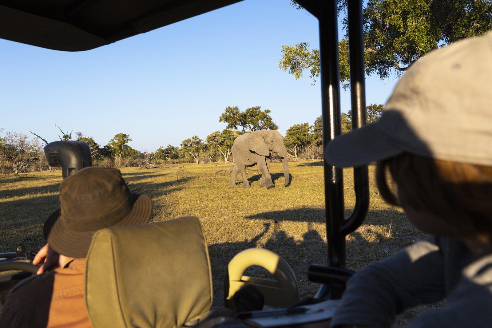 Charterflug in den Chobe Nationalpark