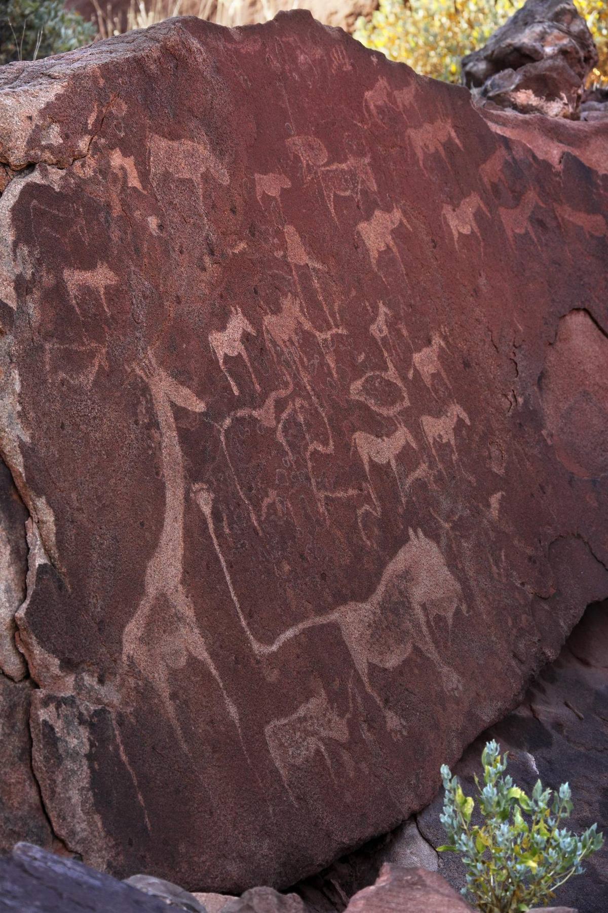 Twyfelfontein & Wüstenelefanten