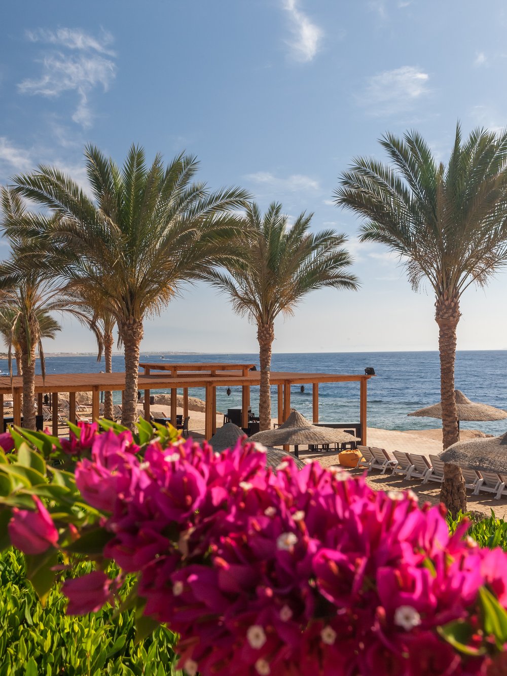Sharm El Sheikh am Roten Meer – Palmen, Liegestühle und türkisblaues Wasser des Luxusresorts