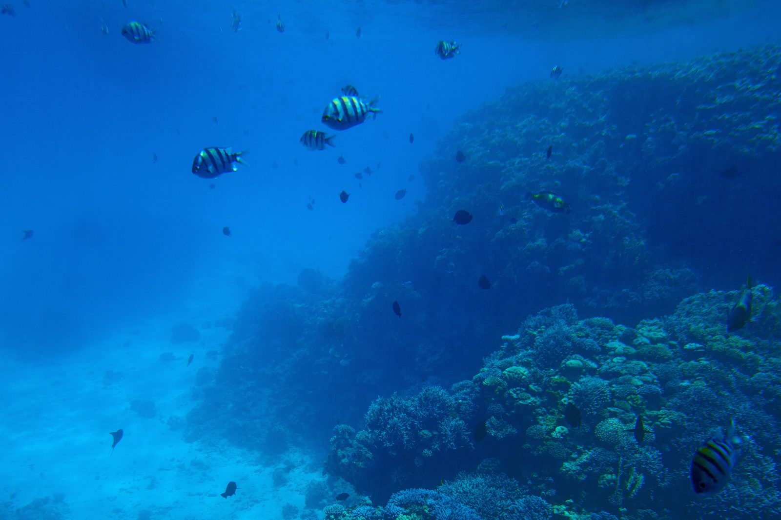 Flug nach Hurghada – Rotes Meer