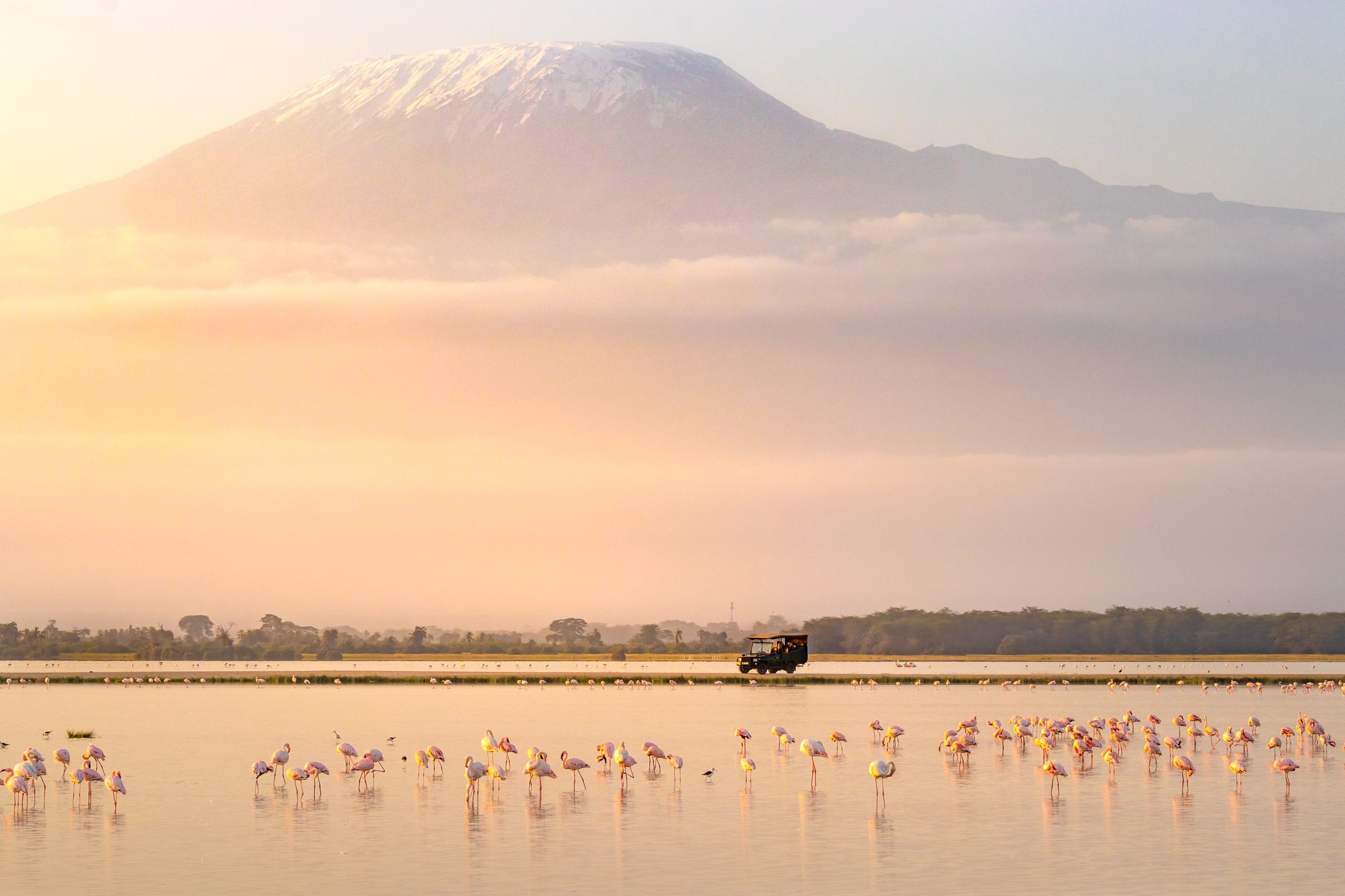 12 Tage Safari und Strand in Kenia