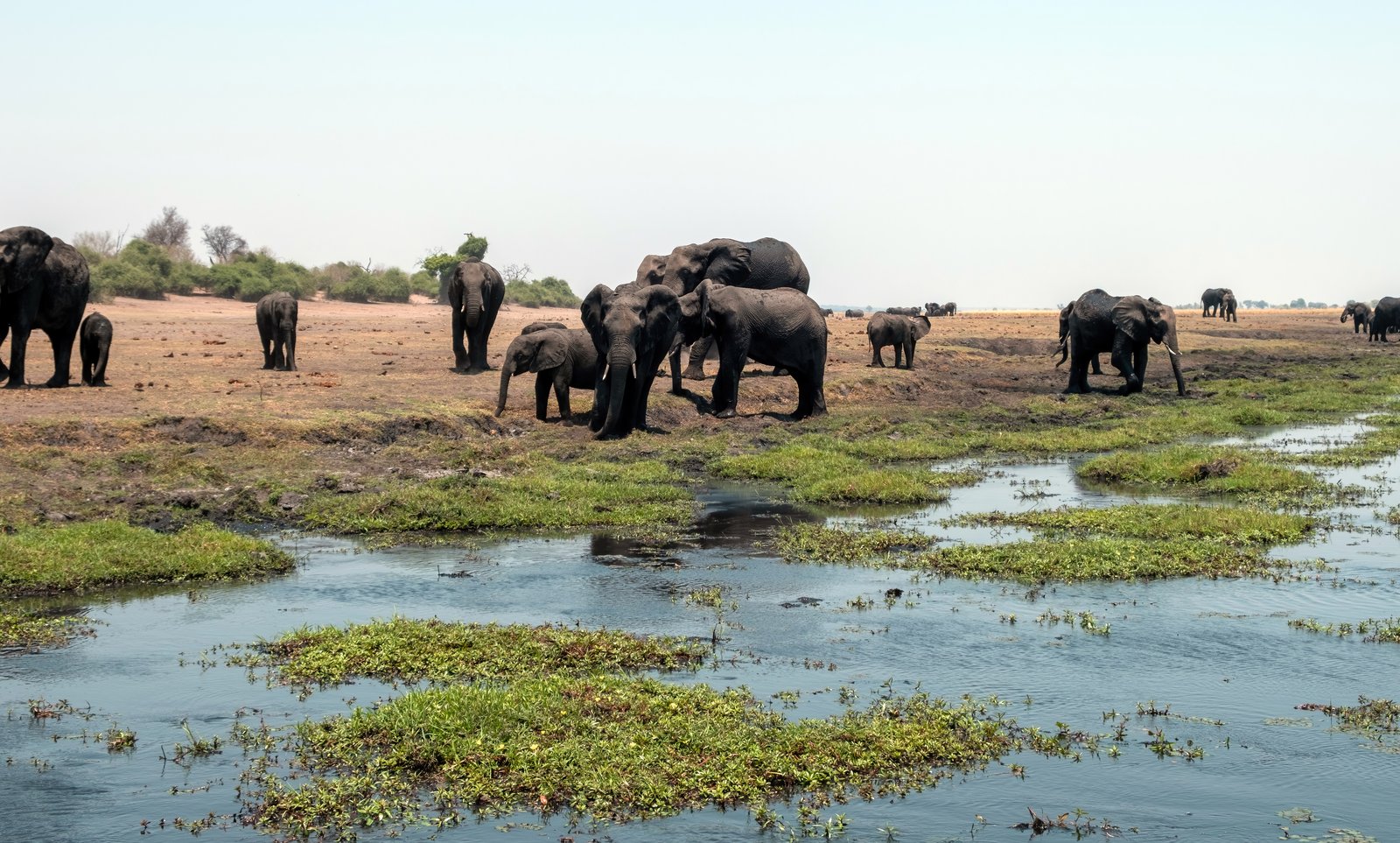 Amboseli – Kilimandscharo & Große Elefantenherden