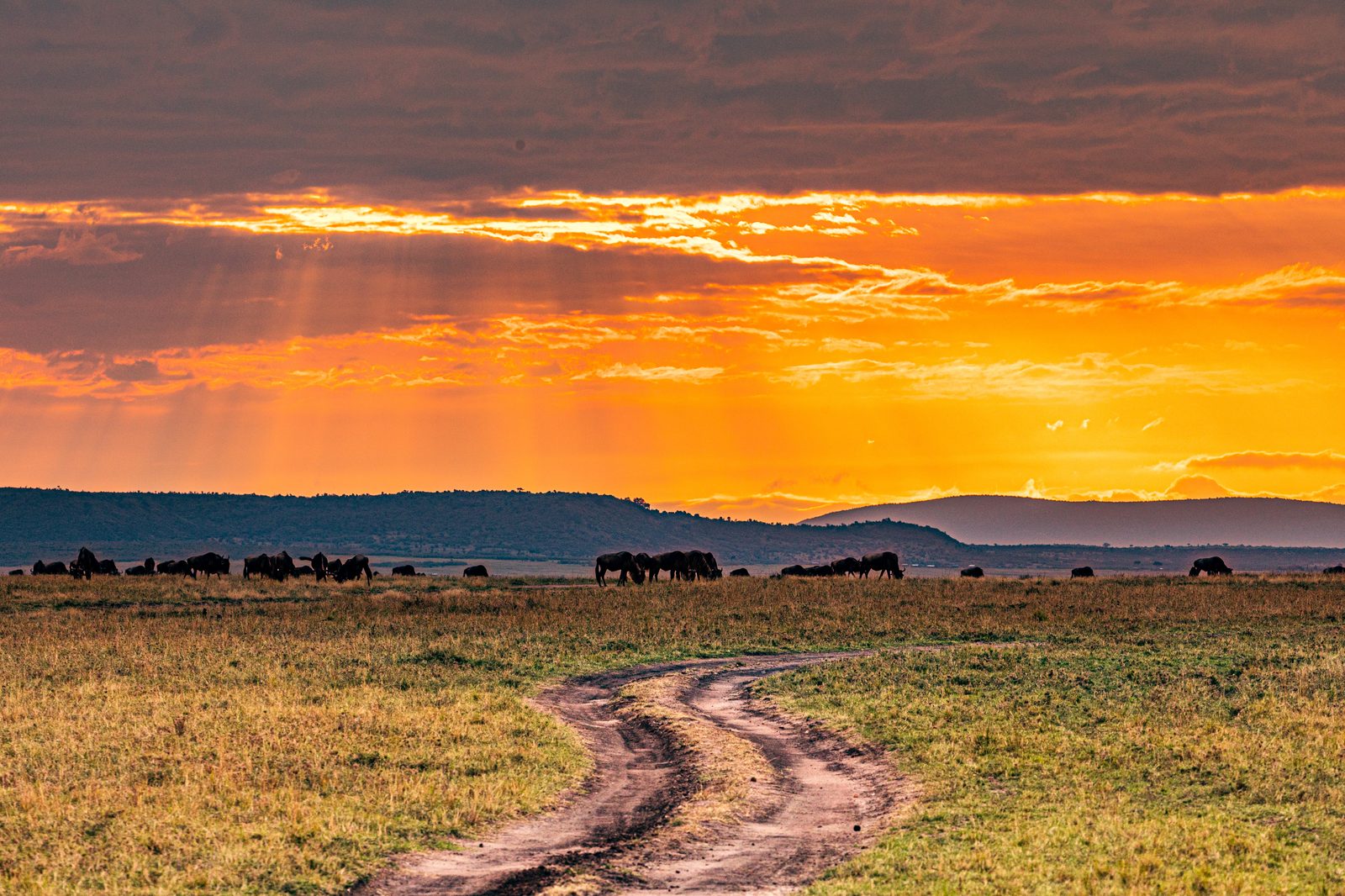 Tsavo Ost – Ganztägige Pirschfahrt