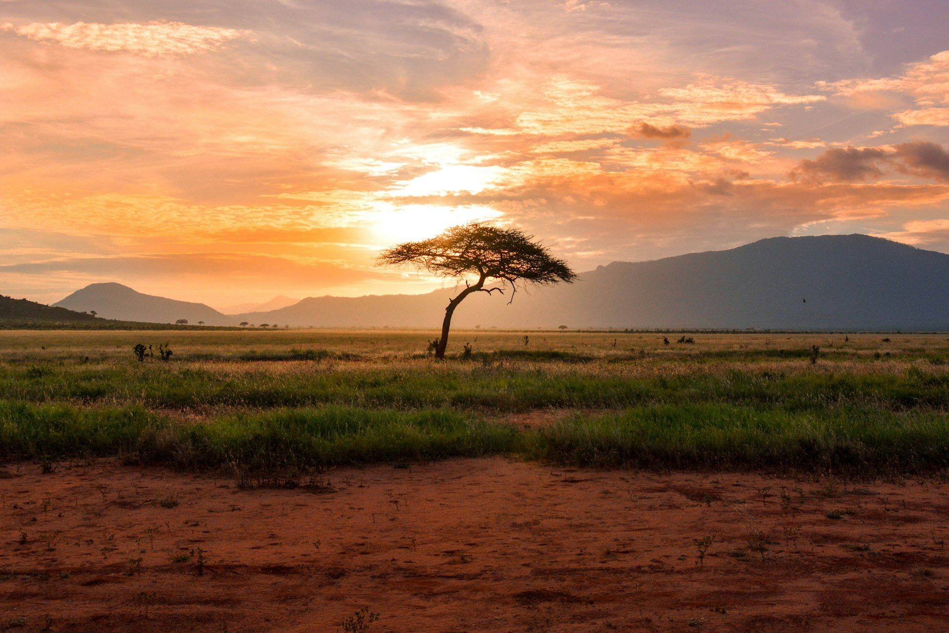 Flamingos spiegeln sich in den Momella-Seen des Arusha Nationalparks
