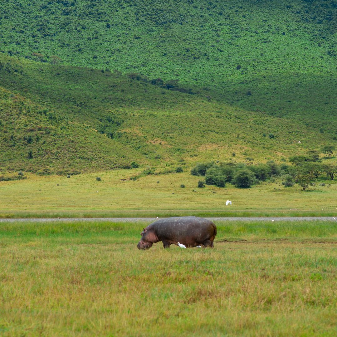 Ngorongoro-Krater im Morgenlicht
