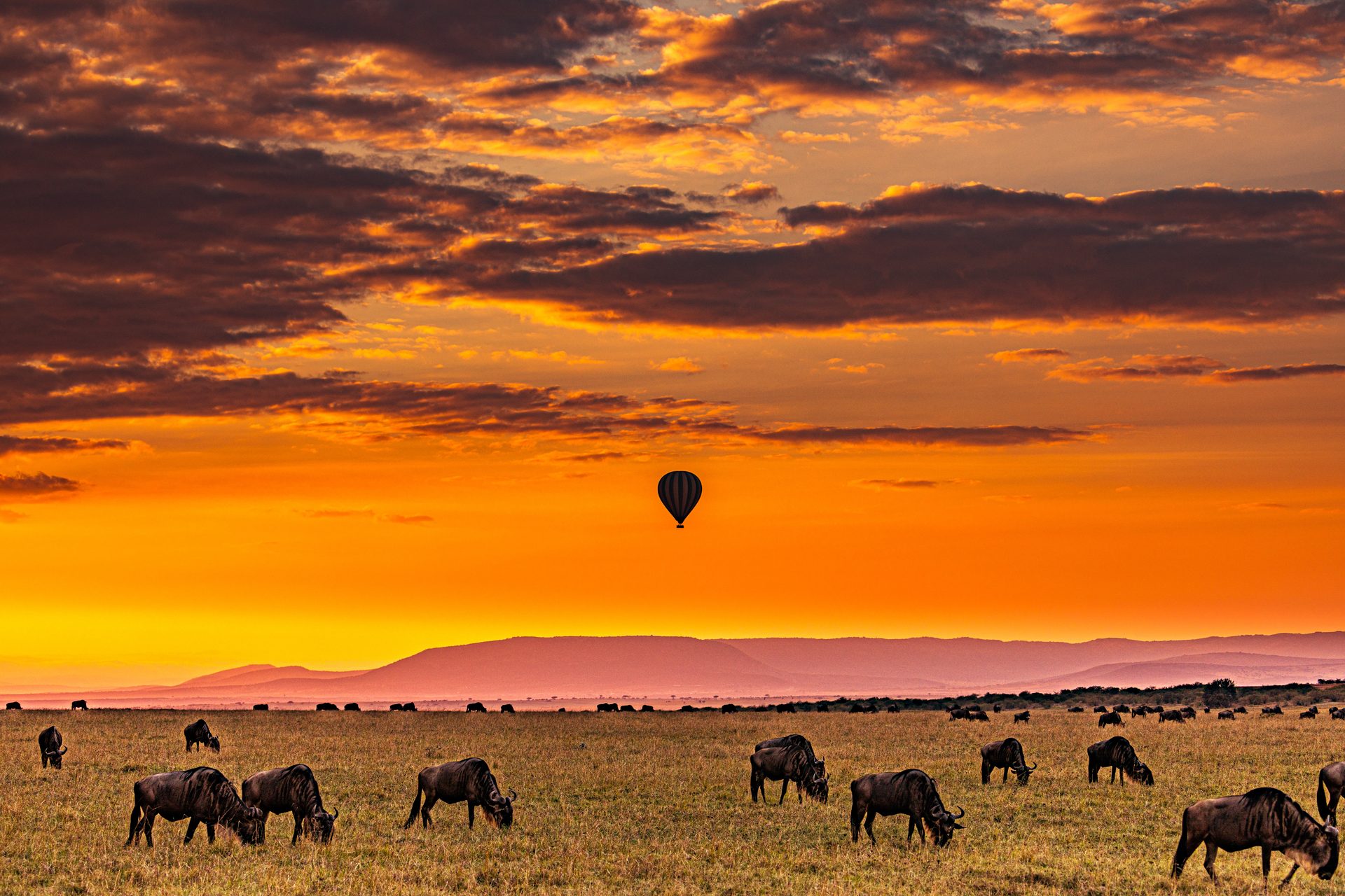Massai Mara – Heißluftballon über Gnuherde bei dramatischem Sonnenuntergang