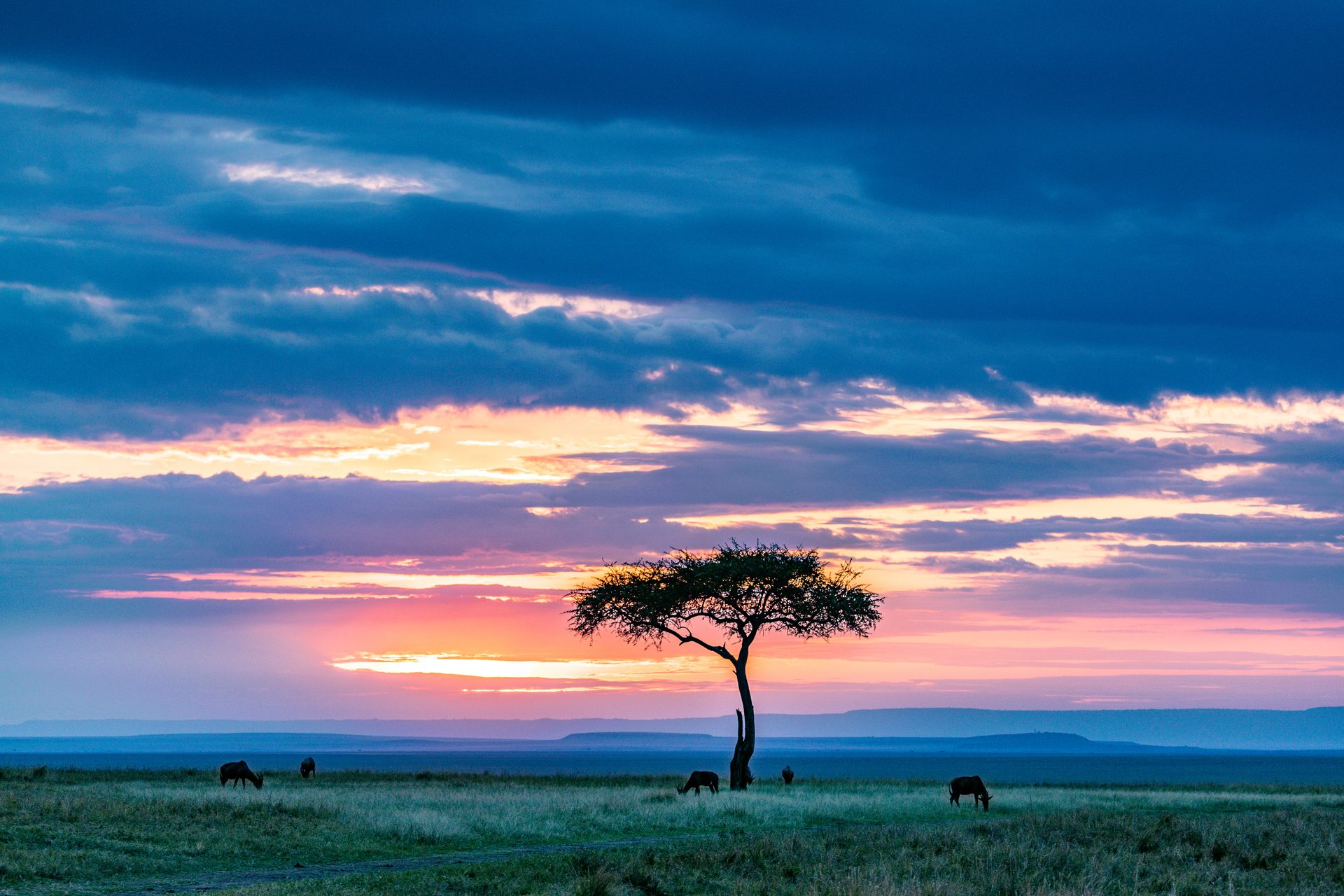 NAIROBI