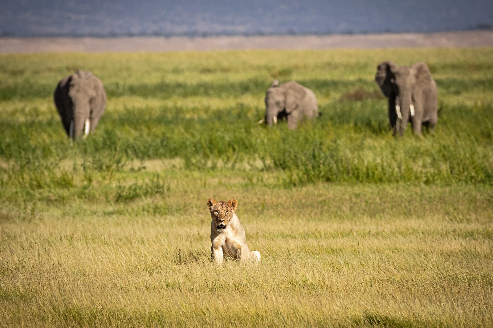 Lake Nakuru Nationalpark