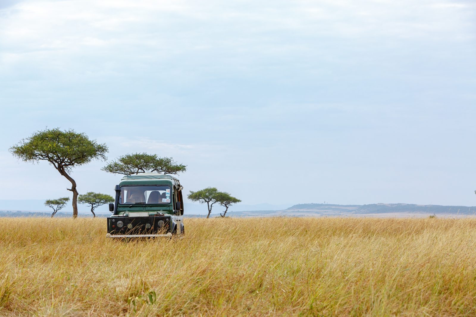 Massai Mara Game Reserve – Angama Mara