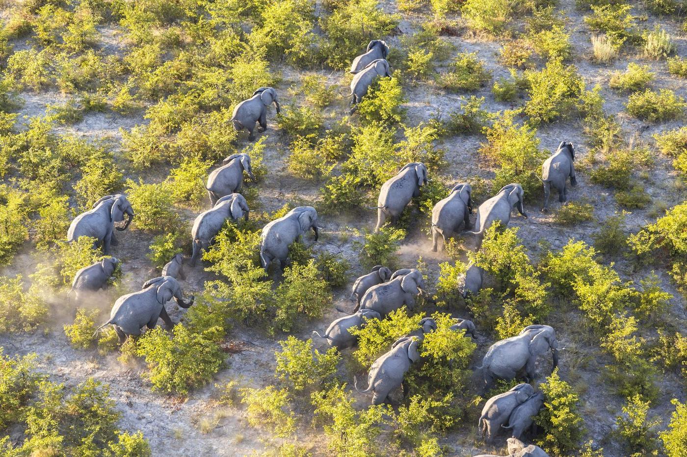 Charterflug nach Kasane – Ankunft am Chobe