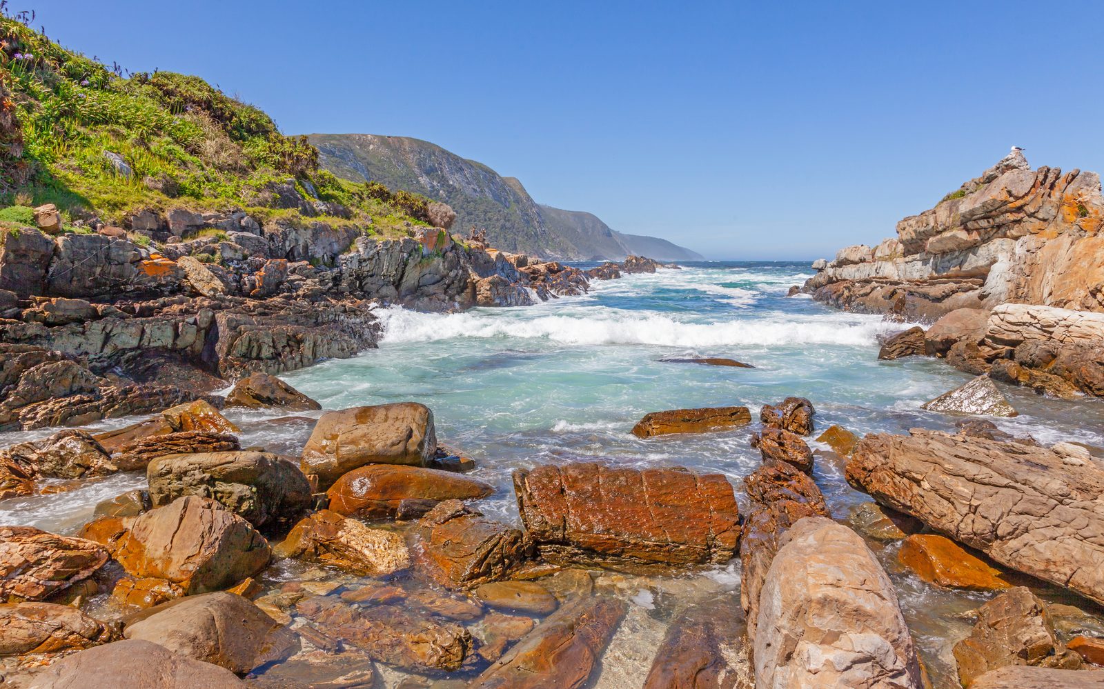 Tsitsikamma-Nationalpark – Das Juwel der Garden Route