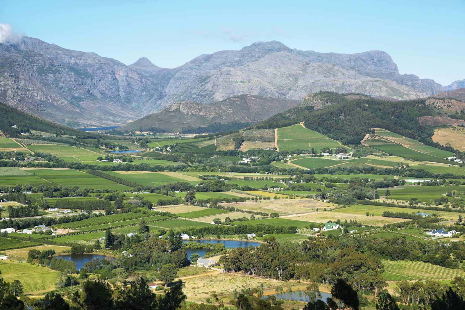 Genuss in Franschhoek