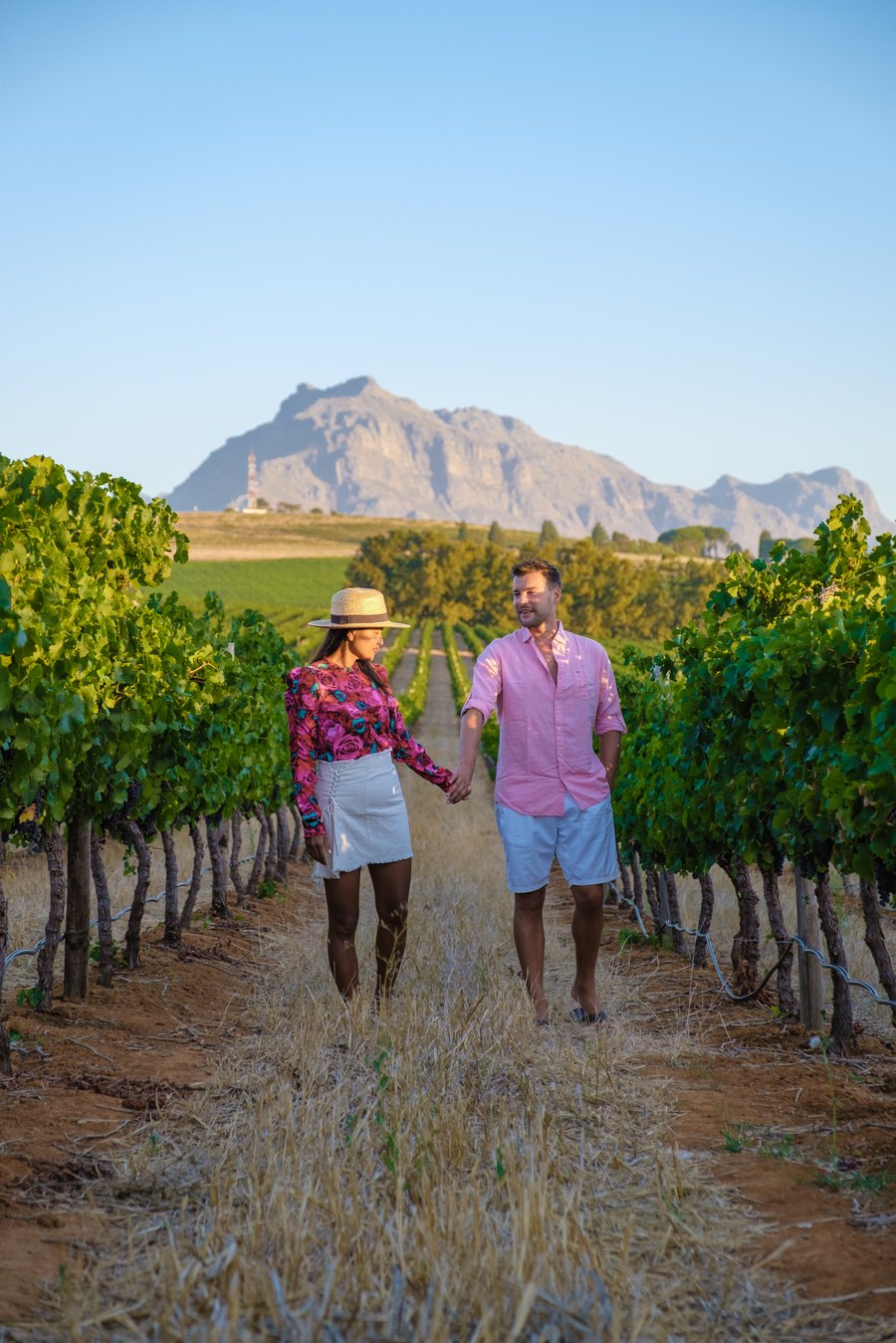 Wein & Geschichte in Stellenbosch