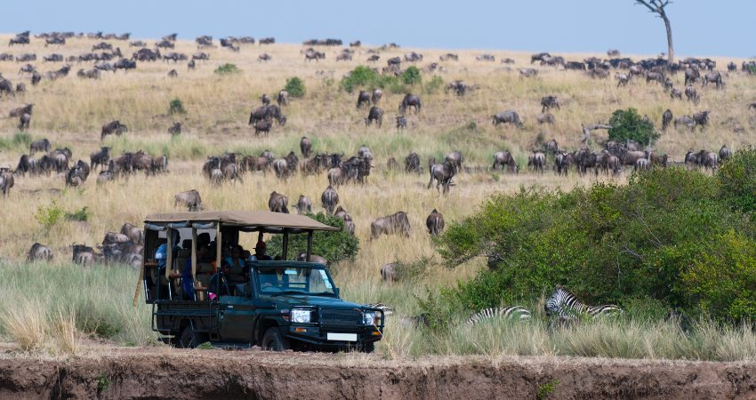 SERENGETI – HERZ DER TIERWANDERUNG