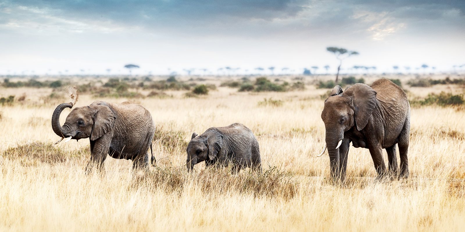 Amboseli Nationalpark – Sentrim Amboseli Lodge