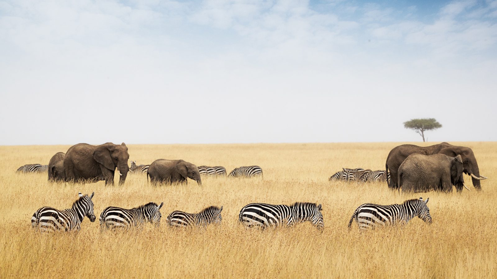Taita Hills – Transfer zum Flughafen Mombasa