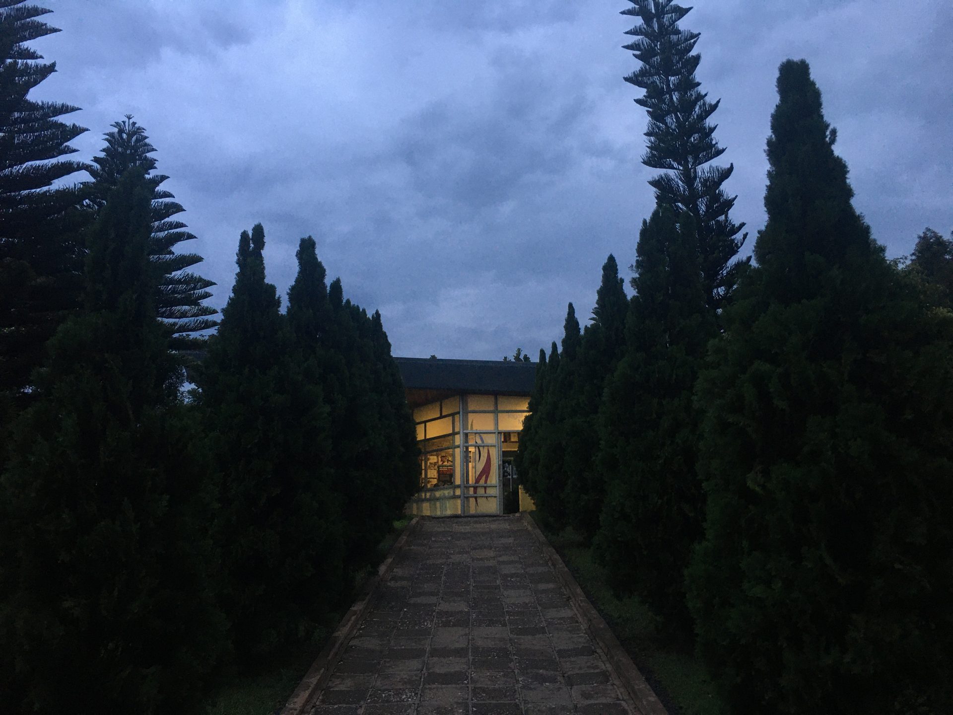 Teeverkostung in Gisakura & Rückkehr nach Kigali