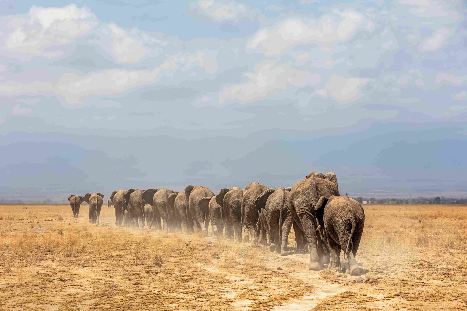 SAFARI PARKS
