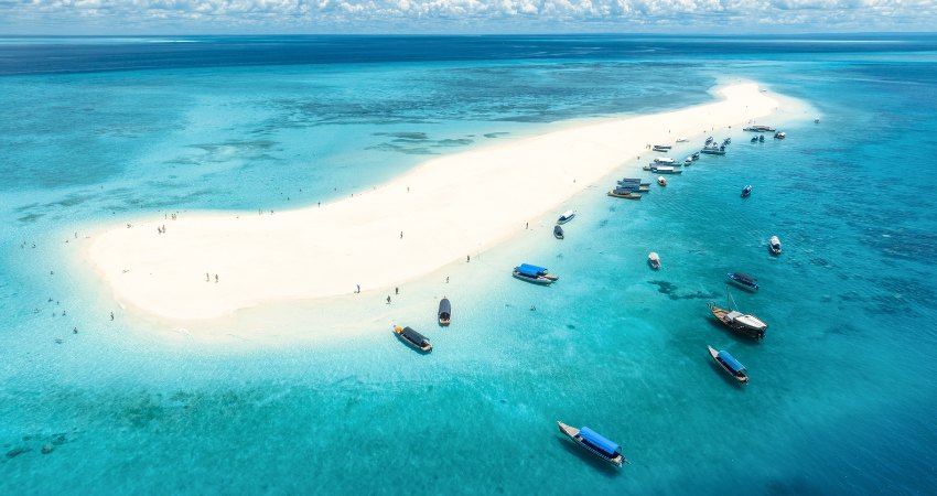 Blaue Safari (optional)