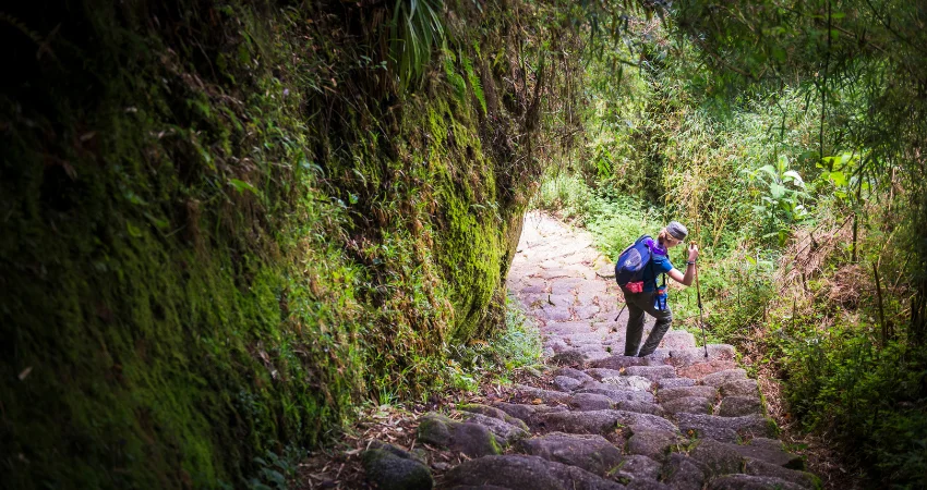 Wanderin auf Felsstufen im dichten Kilimanjaro-Regenwald – Marangu Gate Aufstieg Tag 2
