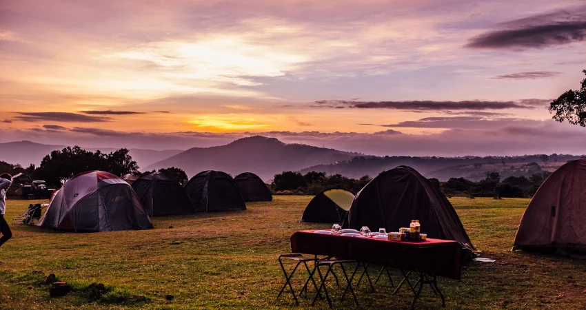 Expeditionszelte bei Sonnenuntergang – Machame Camp am ersten Trekkingtag
