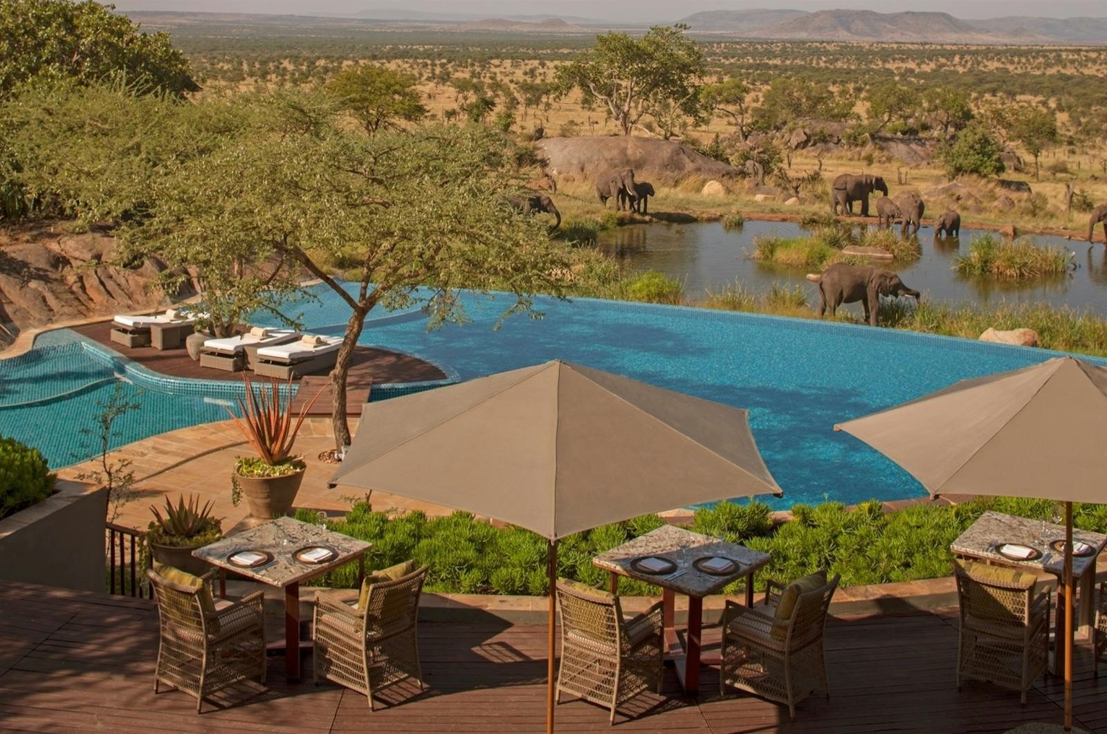 Four Seasons Safari Lodge Serengeti