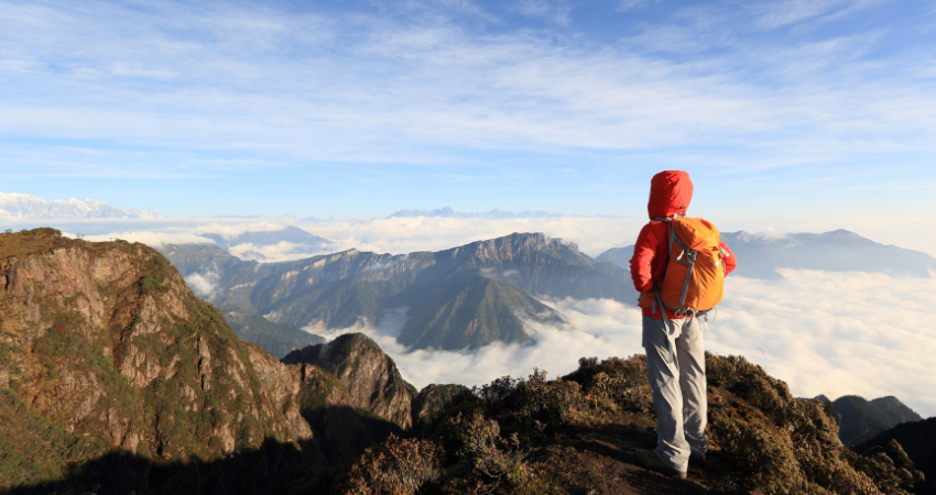Seltenes Spitzmaulnashorn und riesige Elefanten im Ngorongoro-Krater, Tansania Safari.
