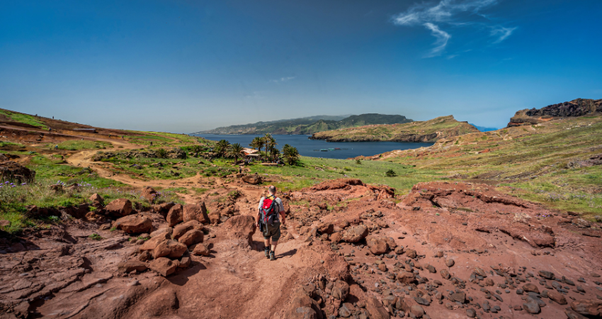 Seltenes Spitzmaulnashorn und riesige Elefanten im Ngorongoro-Krater, Tansania Safari.